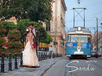 Foto Preferans - by Sandu Nunta Timisoara