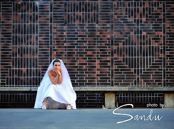 Foto Preferans - by Sandu Nunta Timisoara