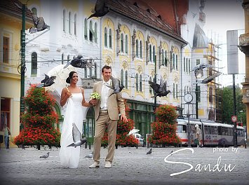 Foto Preferans - by Sandu Nunta Timisoara