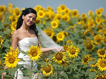 Foto Studio Enigma Nunta Timisoara